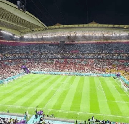 特雷,杨跳投遭康,诺顿绊倒,双赢彩票开奖查询,开奖结果,互动预测平台,实时开奖,手机开奖查询