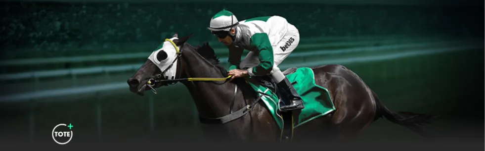 曼联近五场,伯恩茅斯对,战绩不佳,双赢彩票开奖查询,开奖结果,互动预测平台,实时开奖,手机开奖查询