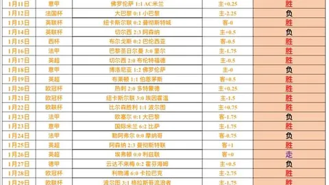 加布裏埃爾發聲：全天候準備，迎戰歐冠征程！