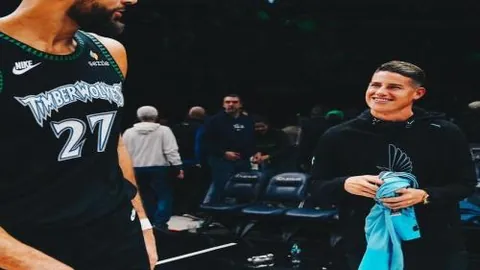 景区摆渡车：平衡便利与盈利——探寻游客满意度与景区收入双赢策略？